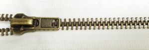 #8 Heavy Classic Antique Brass Zipper (TA501)