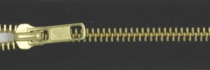 #5 Classic Plus Brass Zipper (TA580)