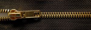 #5 Classic Plus Brass Zipper (TA916)