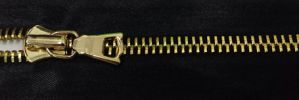 #5 Euro-inspired Moyenne Shiny Gold Satin Zipper (TA580)