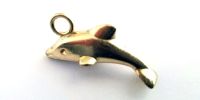 #5 Dolphin Charm (NKL377)
