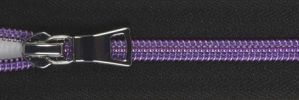  #5  Metallic Coil On Black Tape Zipper