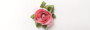 Satin Rose